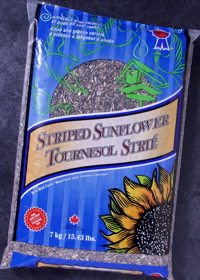 Striped Sunflower Seed