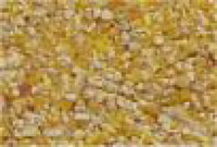 Scratch grain