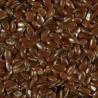 Flax Seed