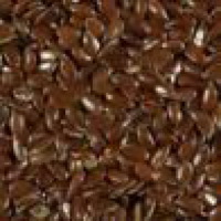 Flax Seed