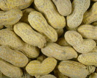 Peanuts in shell