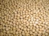 Peas-small white (Trapper)