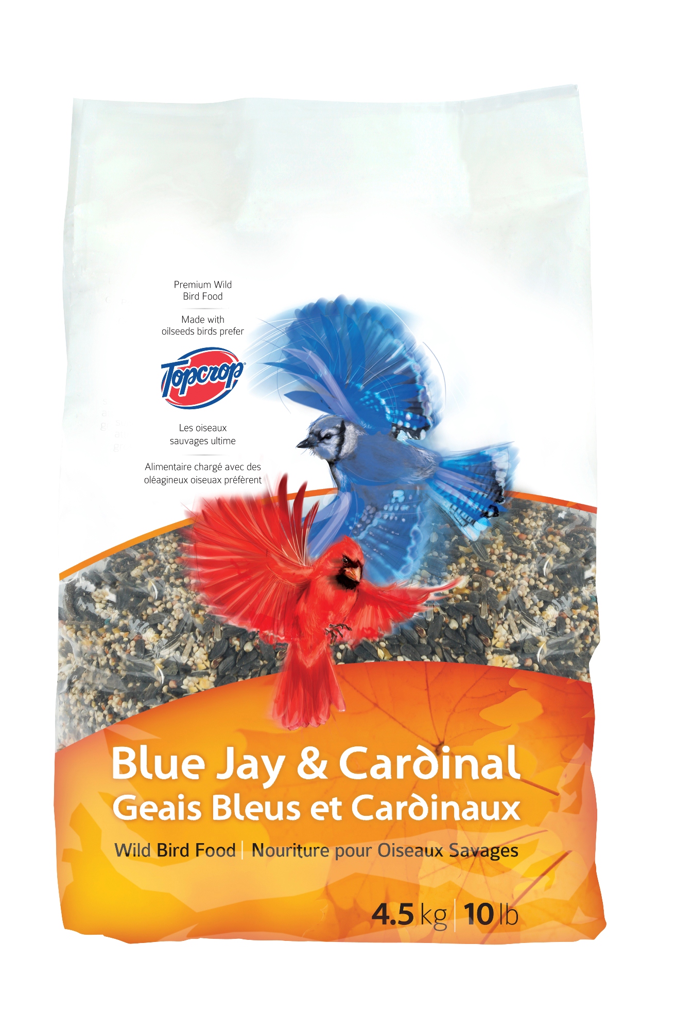 Blue Jay & Cardinal