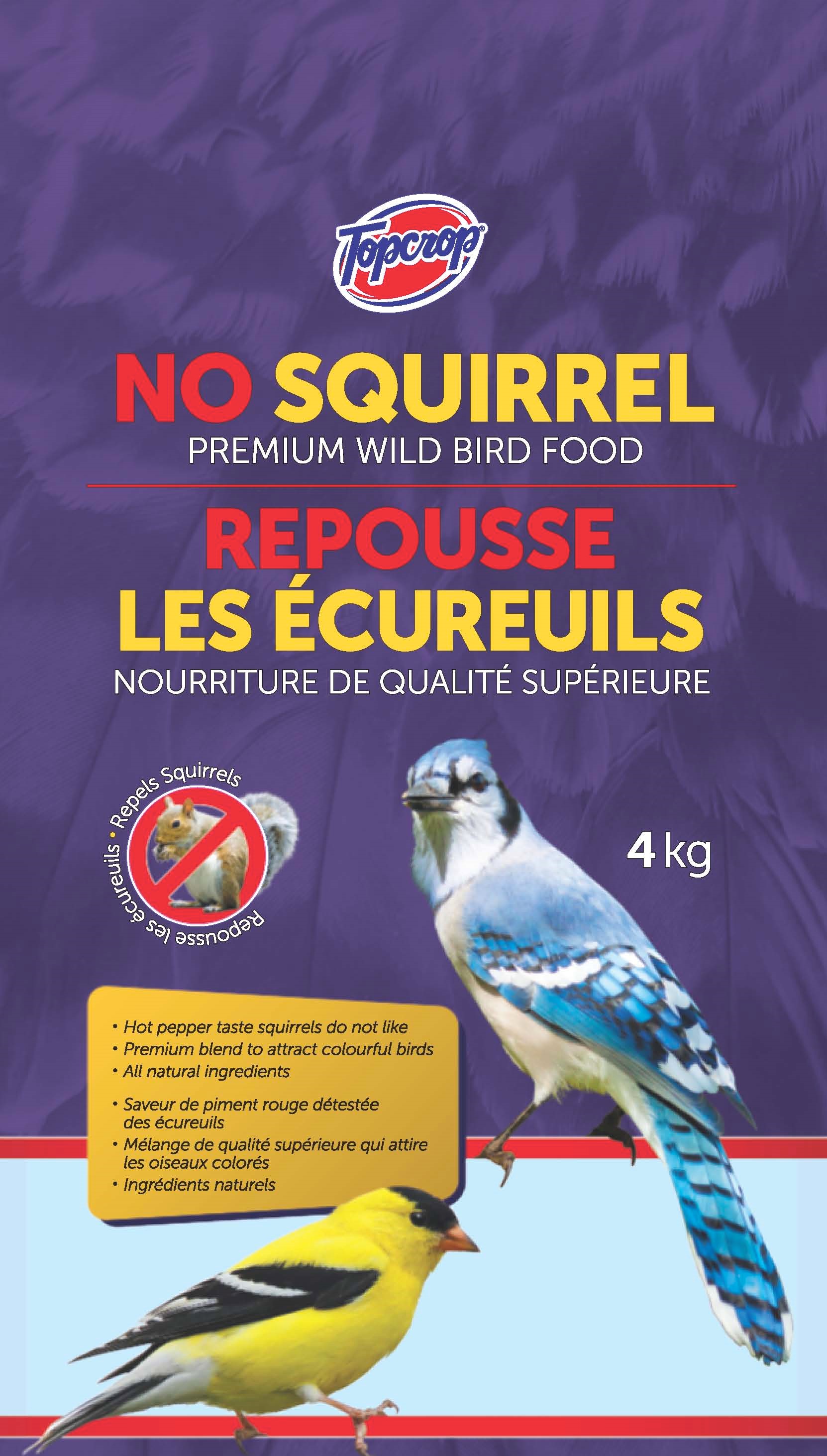 No Squirrel